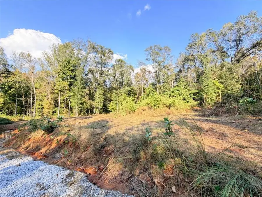 115 Mary Lane, Maysville, GA 30558 - #3