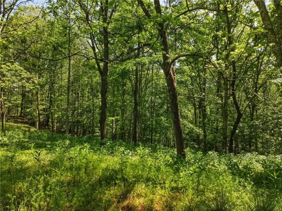 Lot 3 Summit Drive, Dahlonega, GA 30533 - #3