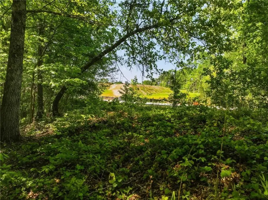 Lot 7 Summit Drive, Dahlonega, GA 30533 - #3