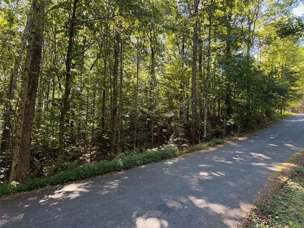N/A Timbergate Trail, Blairsville, GA 30512 - #1