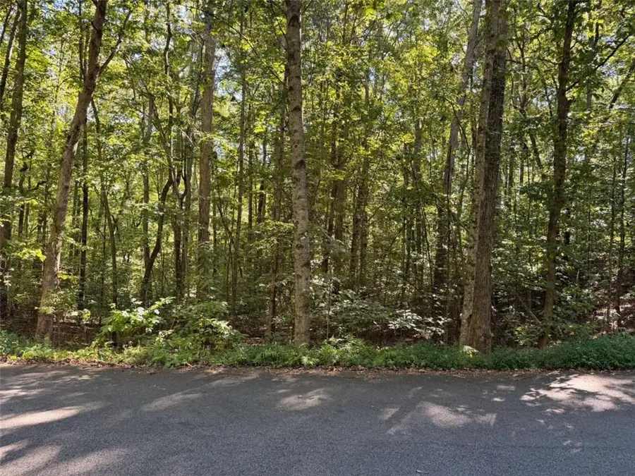 N/A Timbergate Trail, Blairsville, GA 30512 - #2