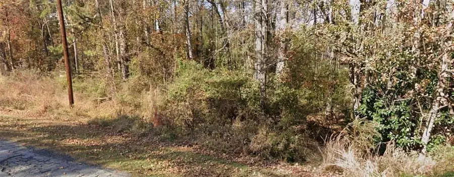 2842 Drowning Creek Road, Dacula, GA 30019 - #2