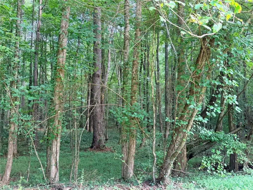 Lot 1 Pettit Road, Jasper, GA 30143 - #1
