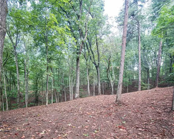 480 Pin Hook Road, Ranger, GA 30734