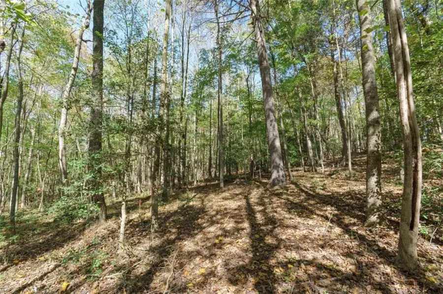 140 Highpoint Ridge Court, Ellijay, GA 30540 - #3