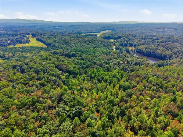 0 Fern Gully Way, Ellijay, GA 30540