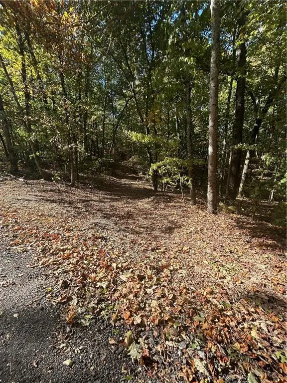 64 Garden Lane, Dawsonville, GA 30534 - #2