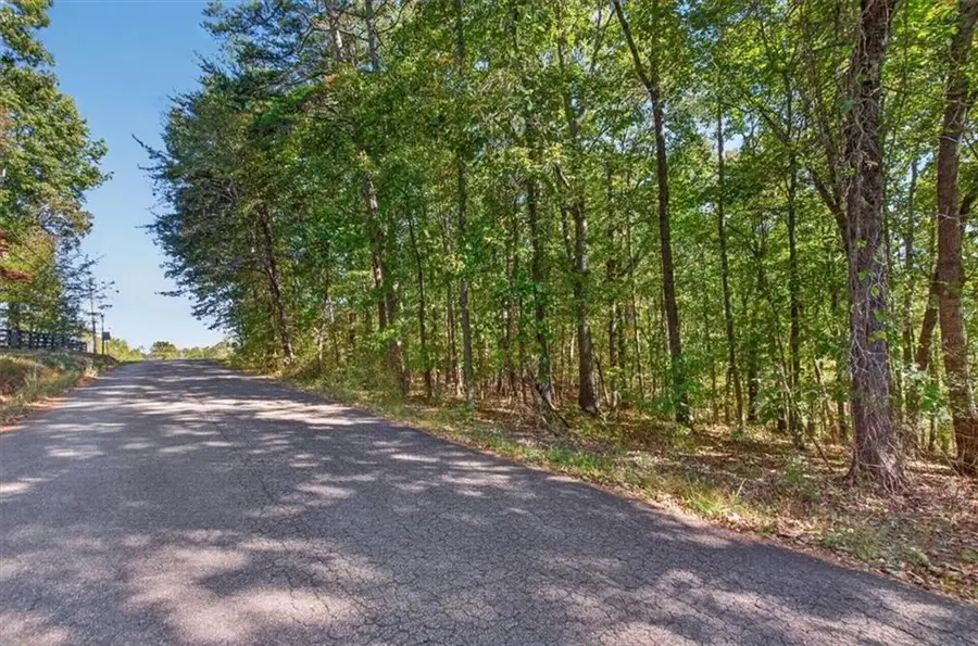 0 Hendrix Lane, Ball Ground, GA 30107 - #3