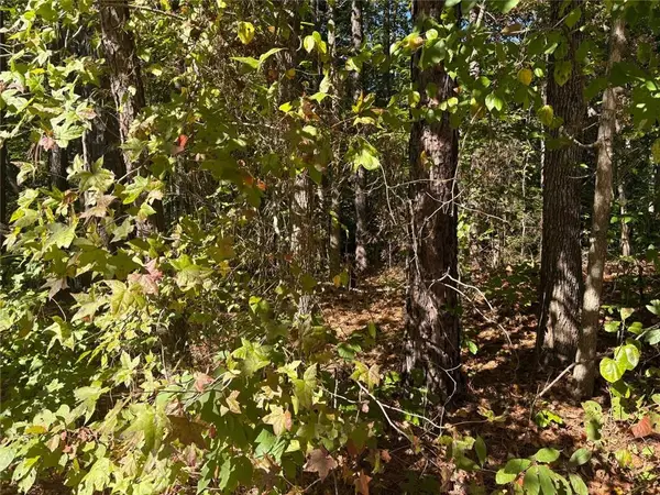 0 Dorsett Shoals Road Road, Douglasville, GA 30135