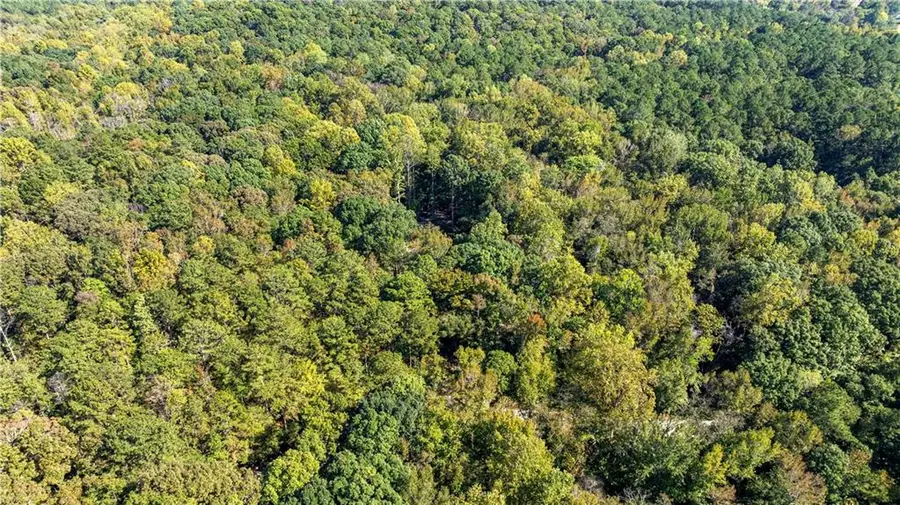 0 Nelms Road, Fayetteville, GA 30215 - #2