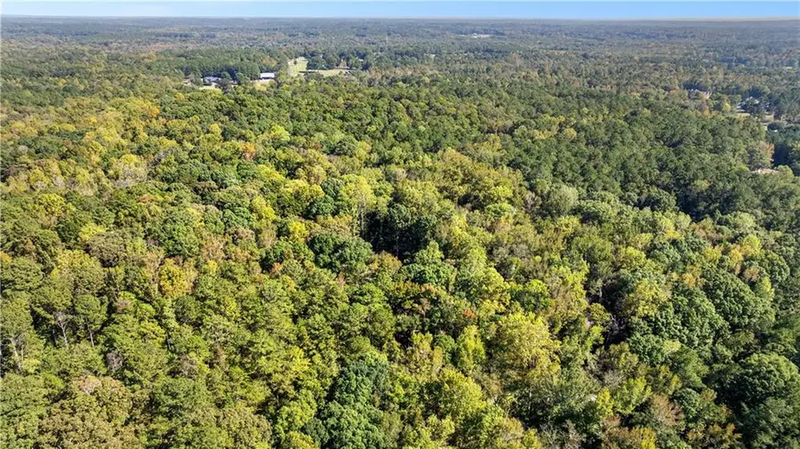 0 Nelms Road, Fayetteville, GA 30215 - #3