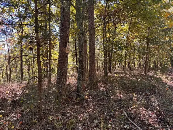 1213 Jewel Court Ne, Ranger, GA 30734