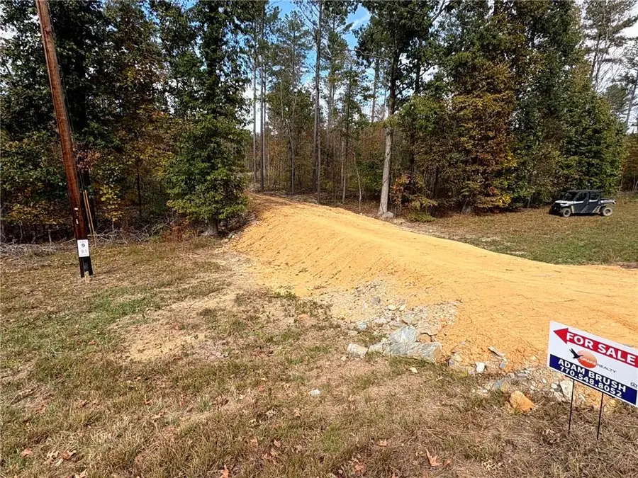 3863 Hwy 140 Ne, Rydal, GA 30171 - #2