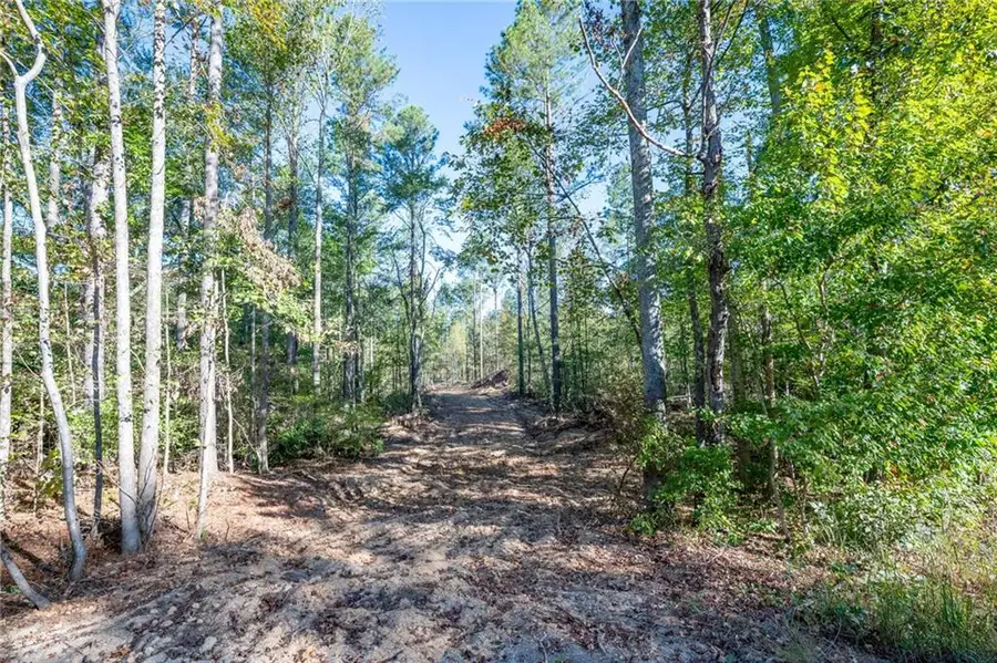 3859 Hwy 140 Ne, Rydal, GA 30171 - #3