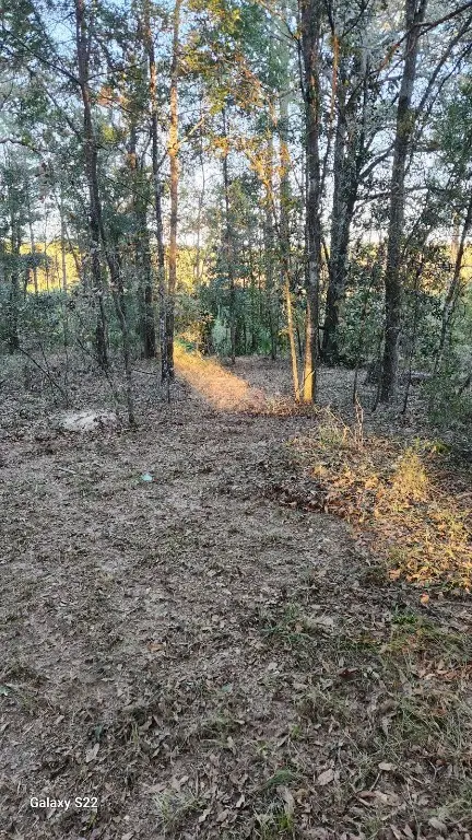 #3