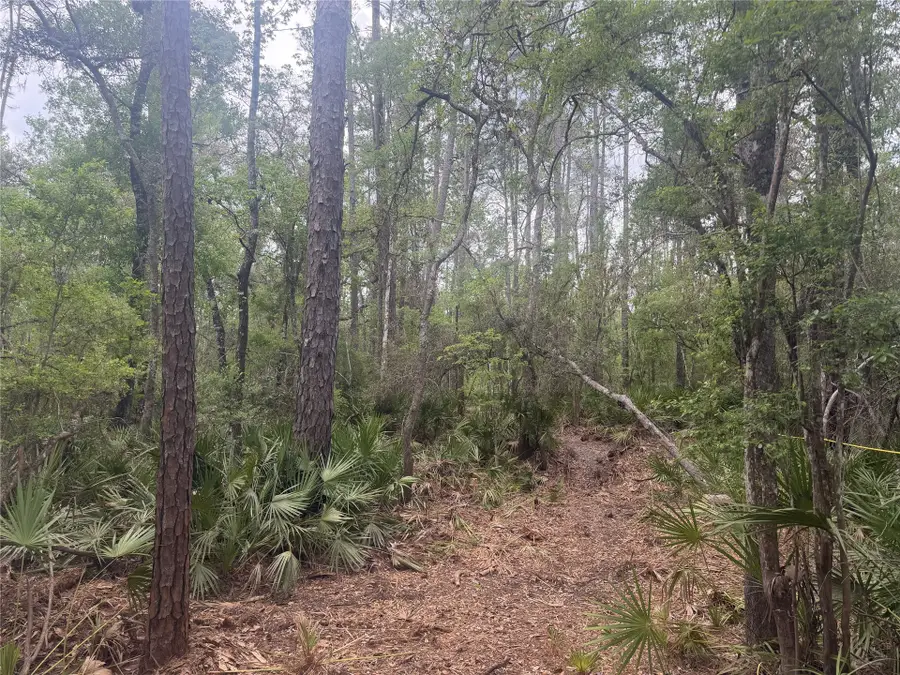 SE 67th Place, White Springs, FL 32096 - #3