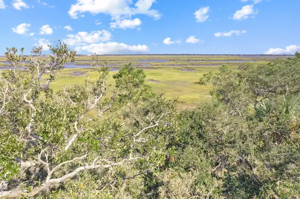 96634 Soap Creek Drive, Fernandina Beach, FL 32034