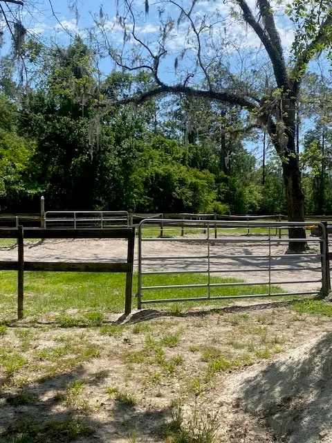 2749 Parmenter Road, Bryceville, FL 32009 - Image #3