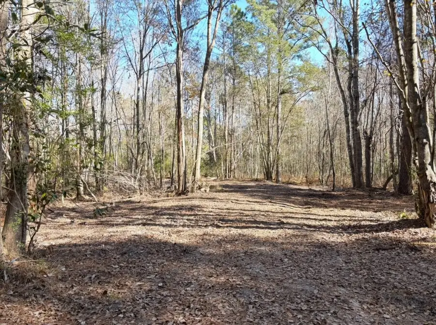 37125 Anna Marie Lane, Hilliard, FL 32046 - Image #2