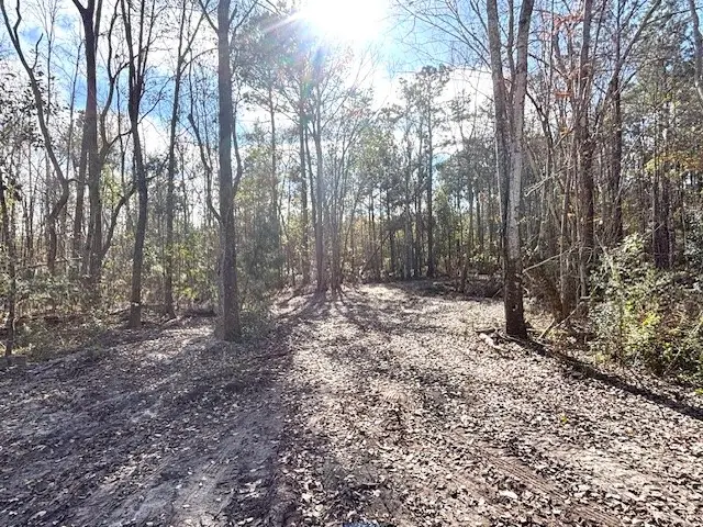 37125 Anna Marie Lane, Hilliard, FL 32046 - Image #3