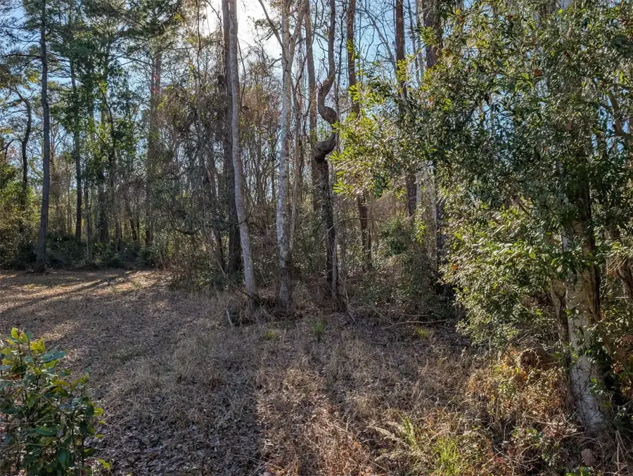 87154 Haven Road, Yulee, FL 32097 - #2