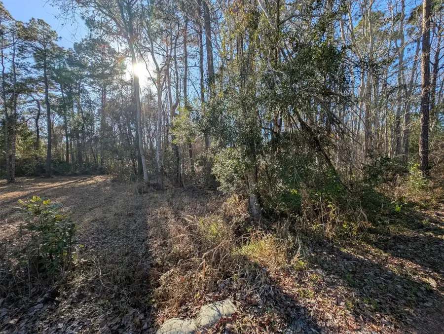 87154 Haven Road, Yulee, FL 32097 - #3