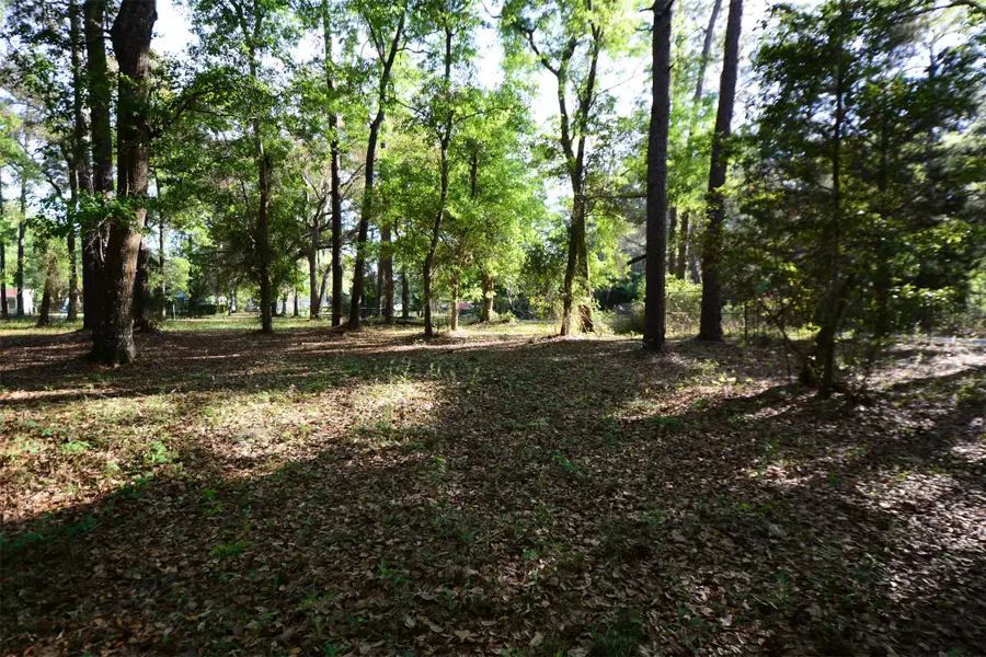 Parcel 6 Peeples Road, Yulee, FL 32097 - #2