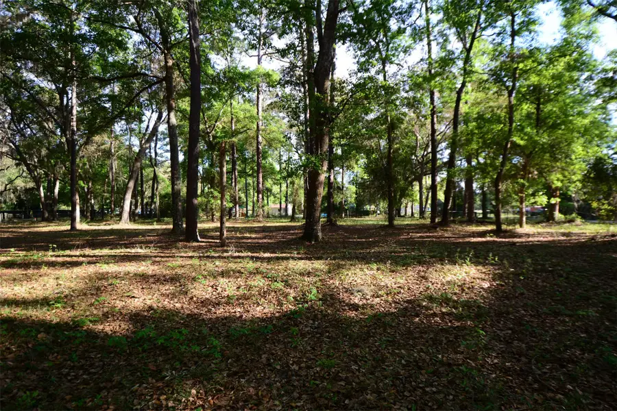 Parcel 6 Peeples Road, Yulee, FL 32097 - #2