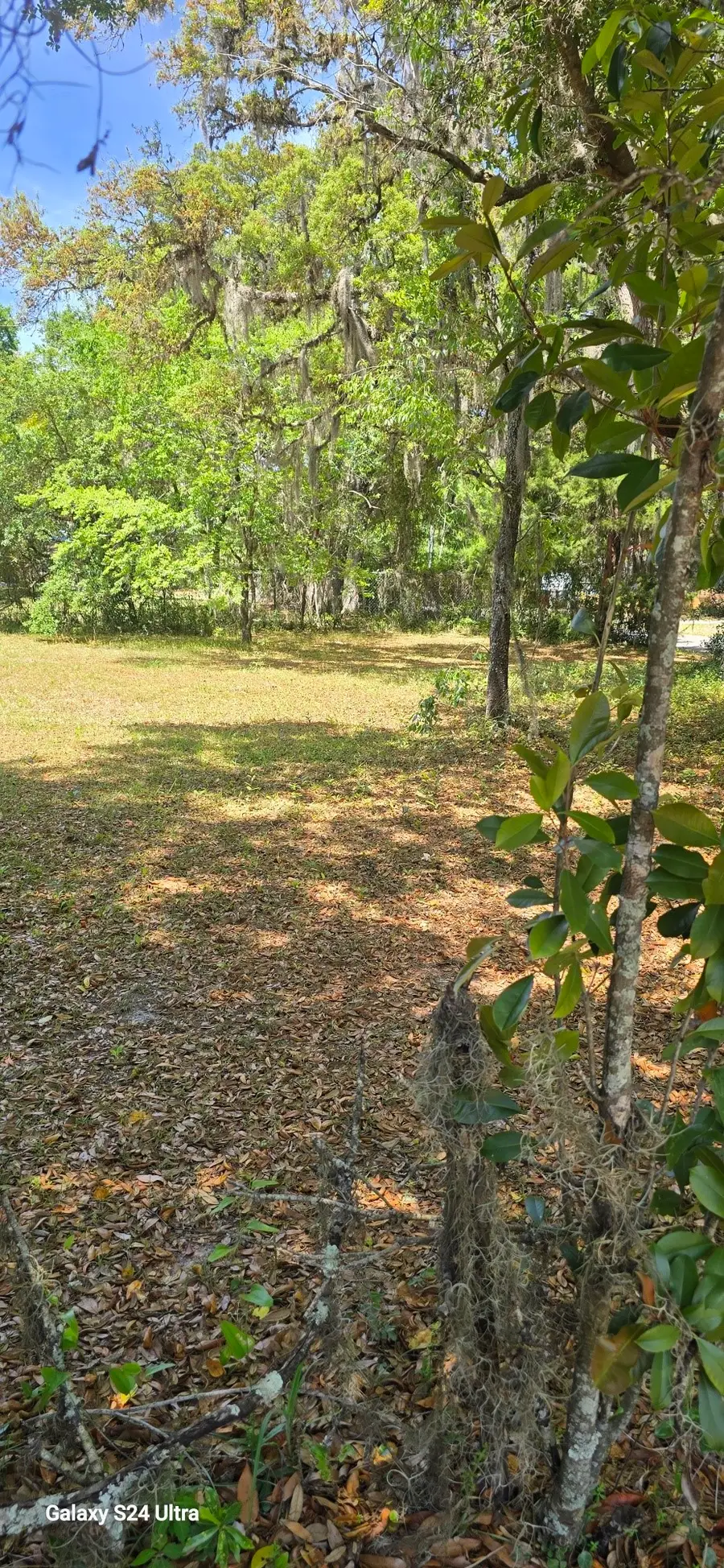 0 Fir Street, Fernandina Beach, FL 32034 - #2