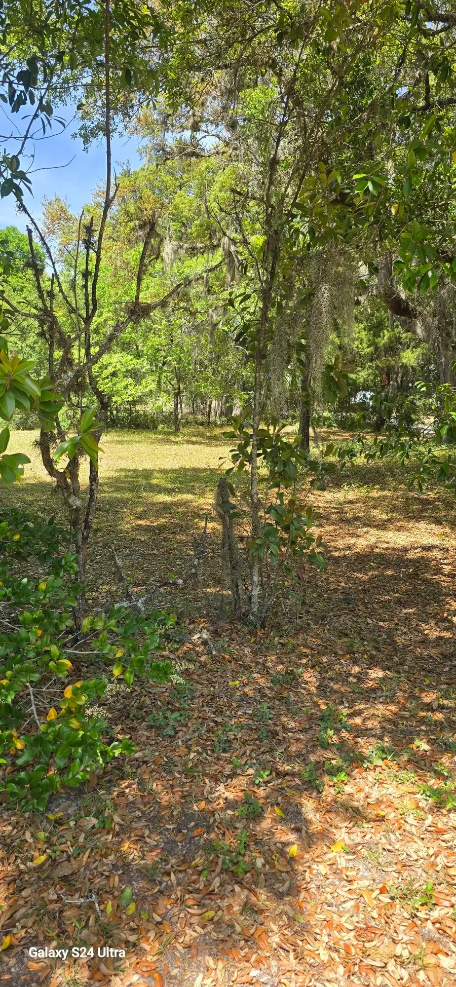 0 Fir Street, Fernandina Beach, FL 32034 - #3