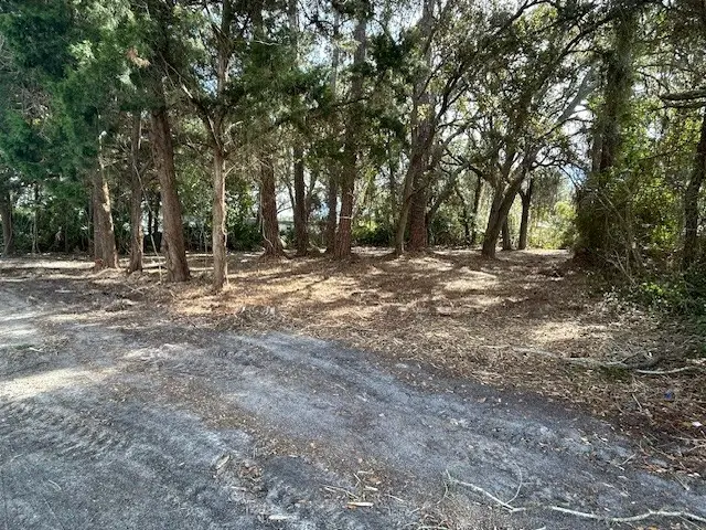 1478 E Oak Street, Fernandina Beach, FL 32034 - #1