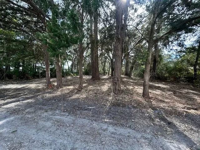1478 E Oak Street, Fernandina Beach, FL 32034 - #2