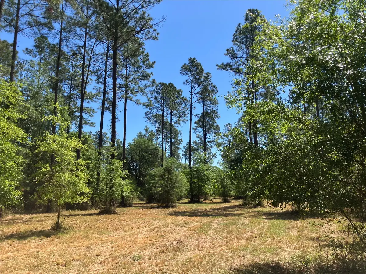 0 Prospect Landing, Hilliard, FL 32046 - #1