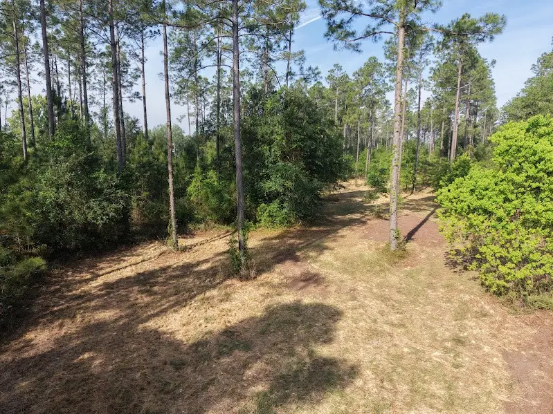 0 Prospect Landing, Hilliard, FL 32046 - #2