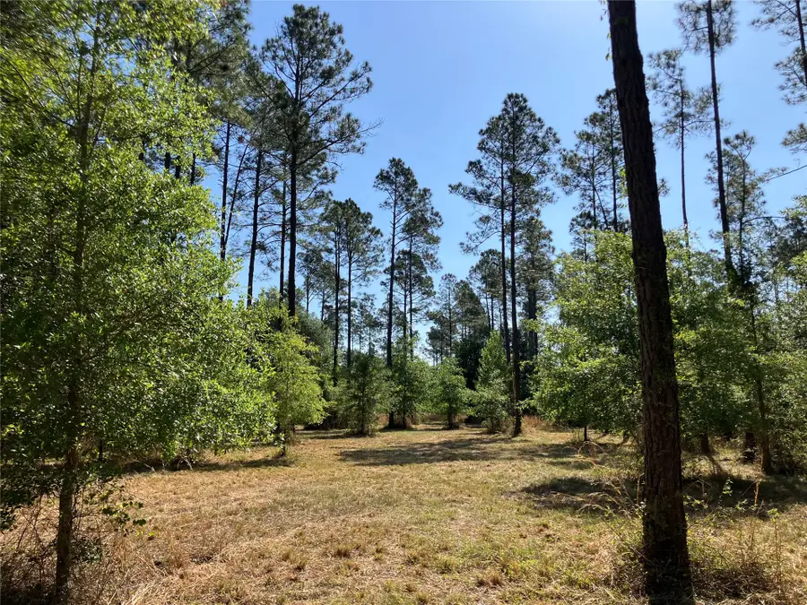 0 Prospect Landing, Hilliard, FL 32046 - #3