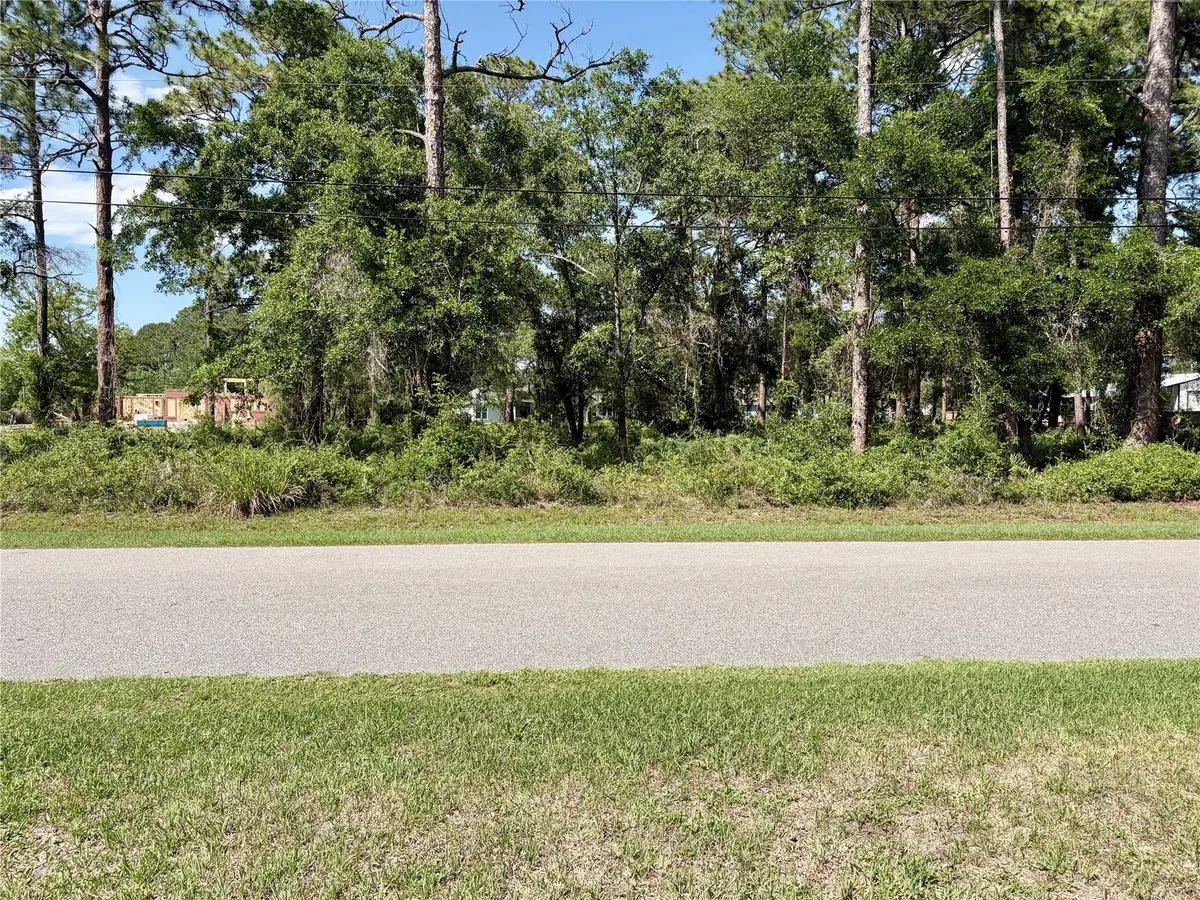 95232 Nassau River Road, Fernandina Beach, FL 32034 - #1