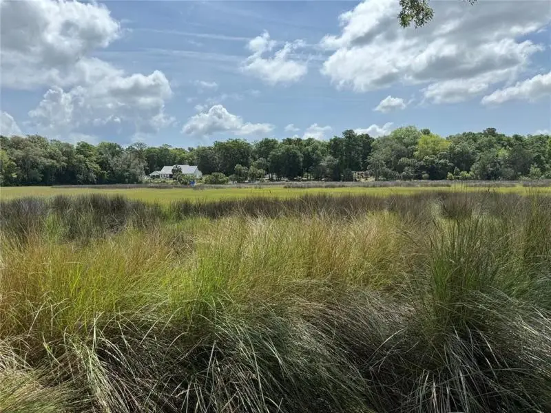29078 Grandview Manor, Yulee, FL 32097 - #1