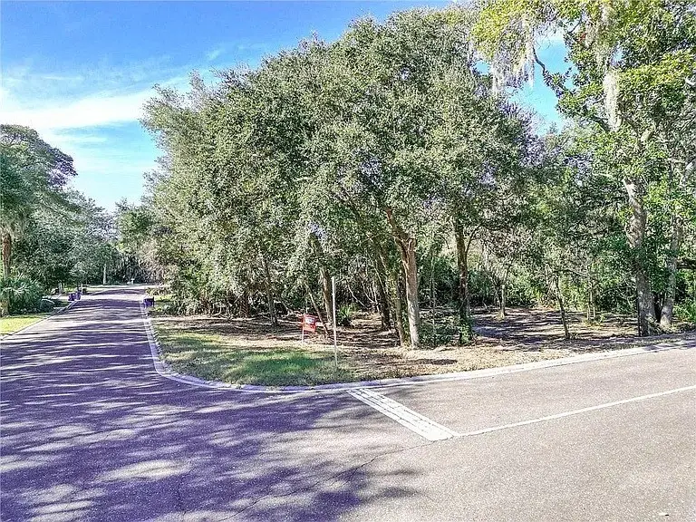 Countess Of Egmont Street, Fernandina Beach, FL 32034 - #1