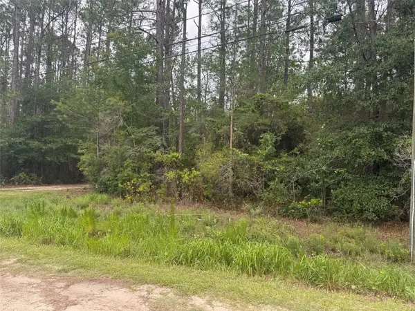 N Village Green, Jacksonville, FL 32234