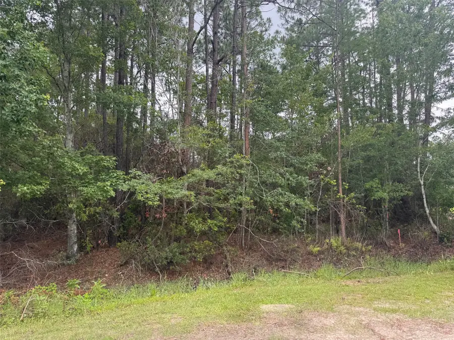 N Village Green, Jacksonville, FL 32234 - #3