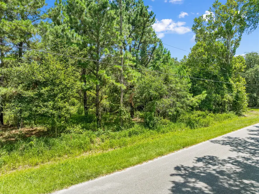 1675 Philips Manor Road, Fernandina Beach, FL 32034 - #2