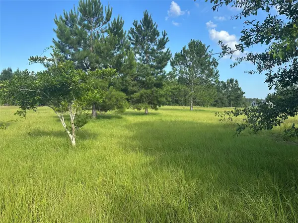 45676 Musslewhite Road, Callahan, FL 32011