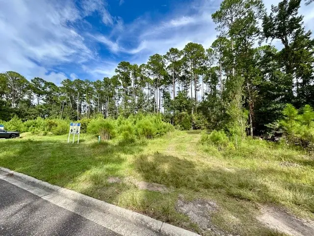 97124 Elk Creek Court, Fernandina Beach, FL 32034 - #3