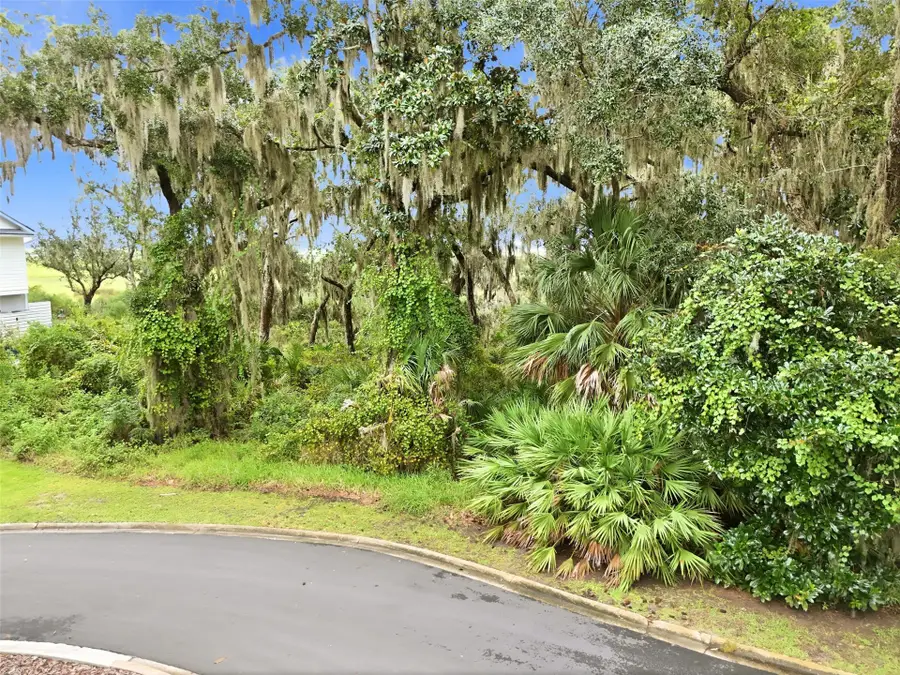 96442 Soap Creek Drive, Fernandina Beach, FL 32034 - #3