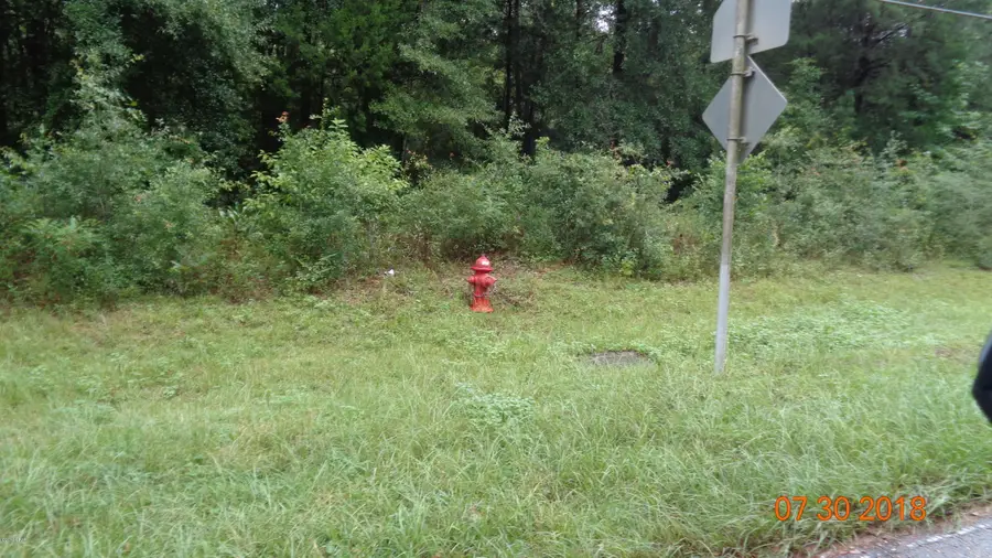 00 Magnolia Road, Marianna, FL 32448 - Image #3