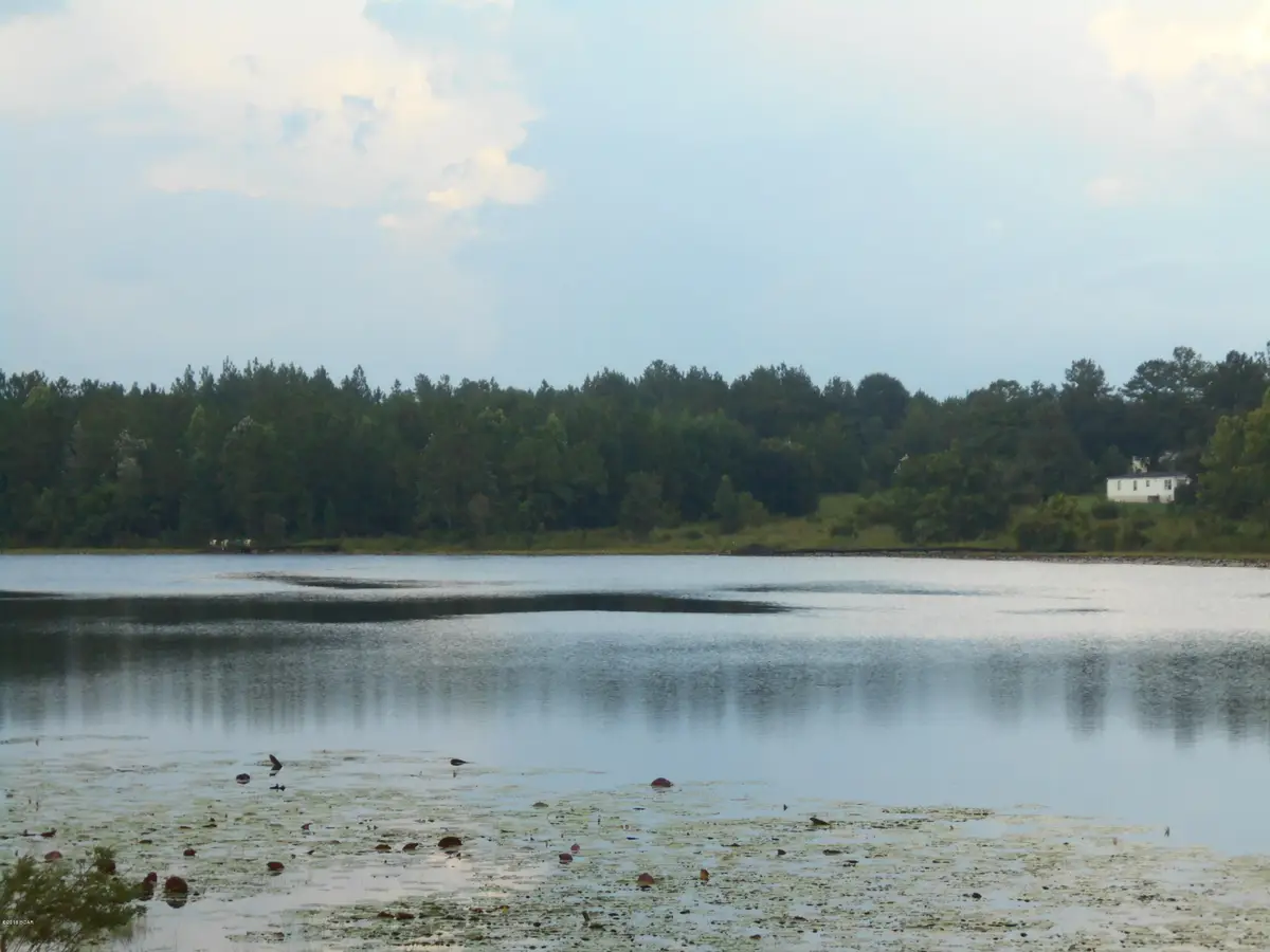 0 Mcduff Drive, Alford, FL 32420 - Image #1