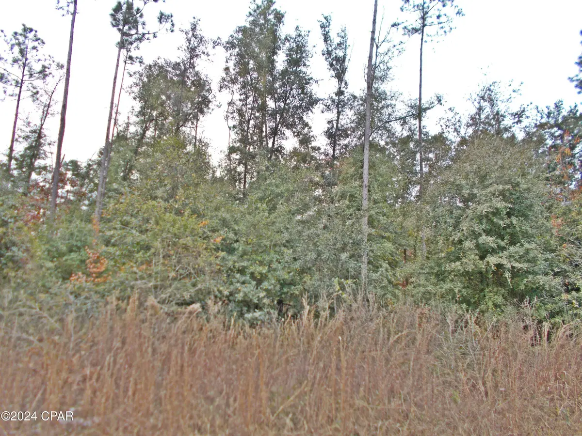 00 Green Road, Greenwood, FL 32443 - Image #1