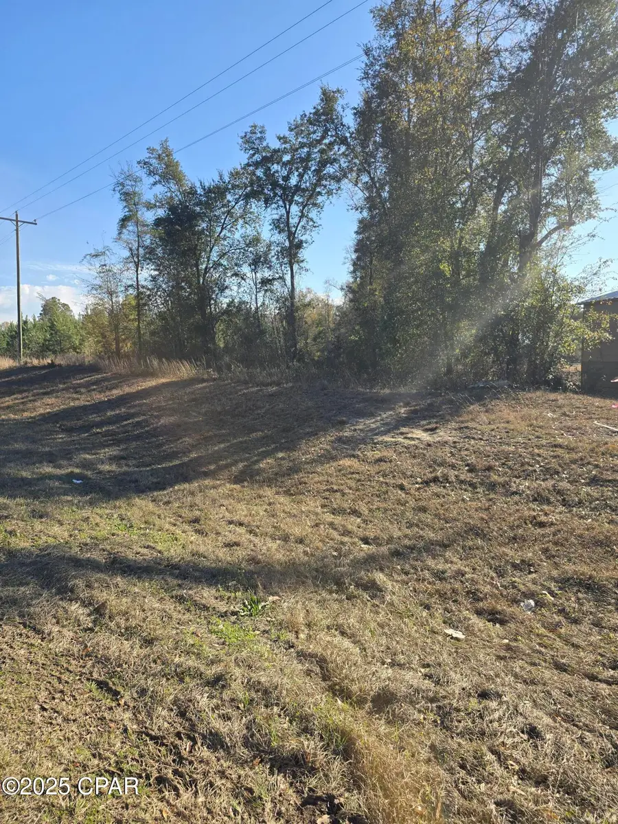 TBD Lot 4 Peanut Road, Cottondale, FL 32431 - Image #3