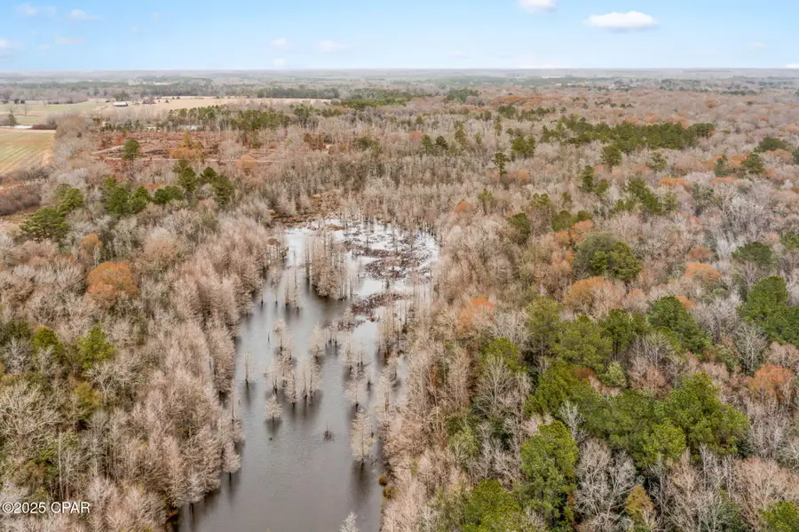 XXX Hwy 173, Graceville, FL 32440 - Image #3