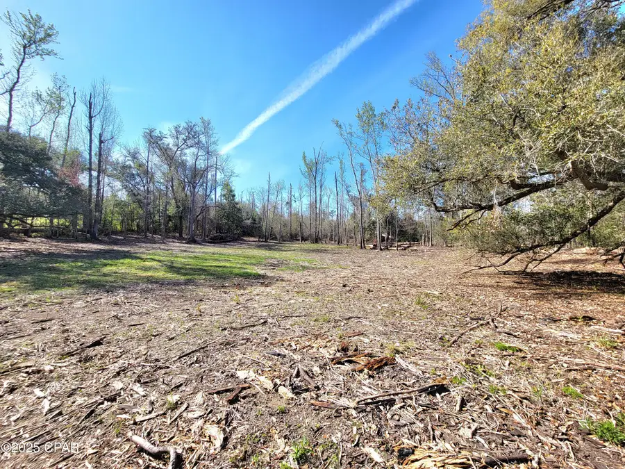 00 Highway 90, Sneads, FL 32460 - Image #2